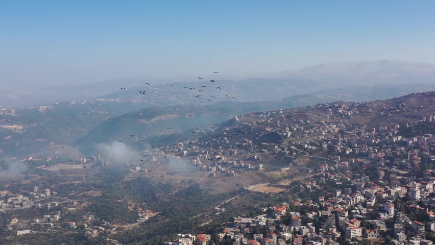 4k aerial footage for Birds flying beside my drone 