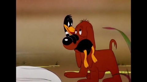 CIRCA 1943 - In this animated film, Daffy Duck is shot down by Elmer Fudd.