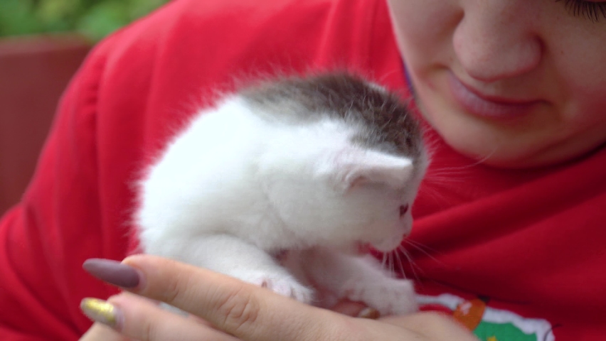 Young caucasian woman holds a little funny kitten in her arms