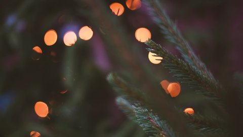 Beautiful green branches of winter fir tree with magic holiday lights of Christmas garlands and white icy snow laying on needles. Abstract X mass holiday 4k video background