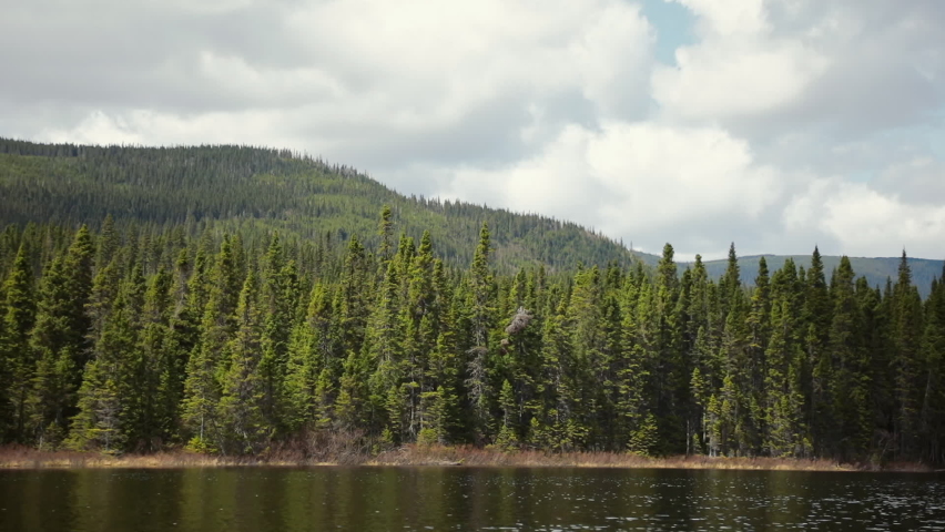 Mountain, Forest and Lake from a Boat in Gaspe, Quebec Canada