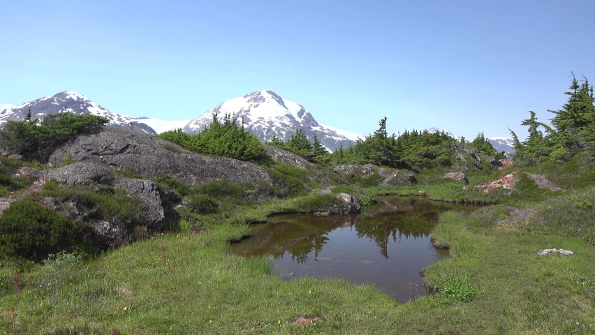 Tranquil pond above Salmon Glacier with snow-capped mountains in background. Taken on vacation while travelling through northern British Columbia Canada.