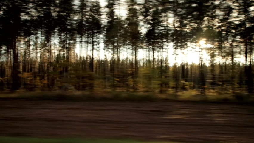 Sunlight shines through the trees, beautiful nature. Car window view, background, landscape, copy space Royalty-Free Stock Footage #1061757100