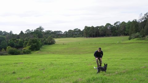 A man in sunglasses plays with an australian cattle dog puppy on a green grass meadow under a bright cloudy sky with trees in a background.