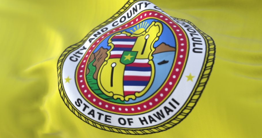 Honolulu city flag, United States of America - loop