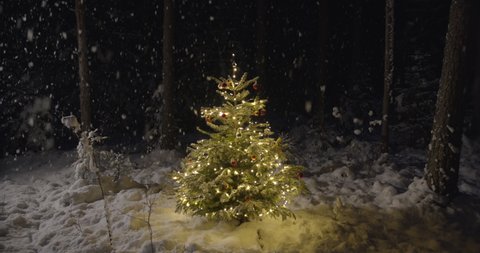 Decorated Christmas tree outdoors in nature with lights and snowfall at night