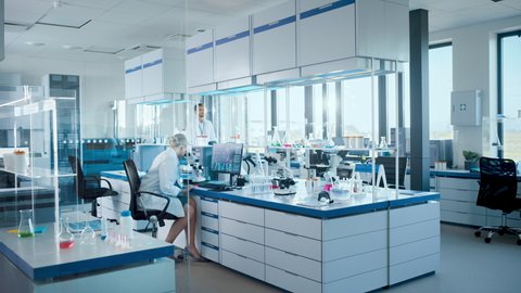 Medical Science Laboratory with Diverse Team of Professional Scientists Developing Drugs, Female Biochemist Working on Computer Display Showing Gene Editing Interface. High-Tech Equipment. Static Shot