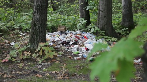 Garbage dump in the forest. A pile of plastic waste and food waste thrown in the forest. People left trash after the picnic.
