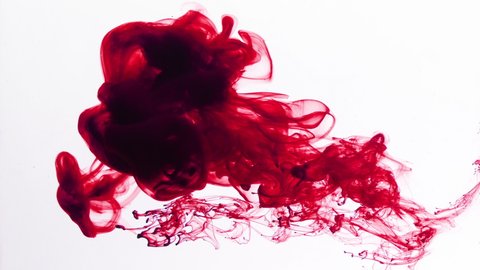 Deep blood red ink drop in water on white background. The liquid floats apart in a hypnotizing way. Perfect for compositing, montages, intros, outros and more. In stunning 4K.