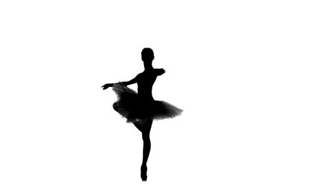 Young Ballerina Dancer In Tutu の動画素材 ロイヤリティフリー Shutterstock