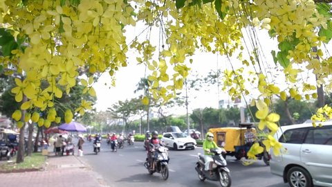 Ho Chi Minh city, Vietnam, February 8th, 2019: Busy traffic at boulevard with Cassia fistula flower foreground blooms adorns city growing urban landscape Ho Chi Minh city, Vietnam