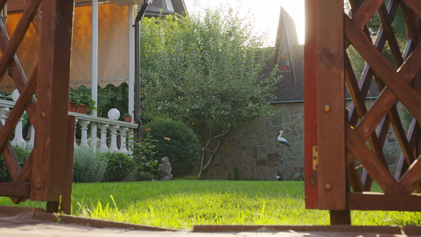Happy big cute friendly pet dog wagging his tail.
