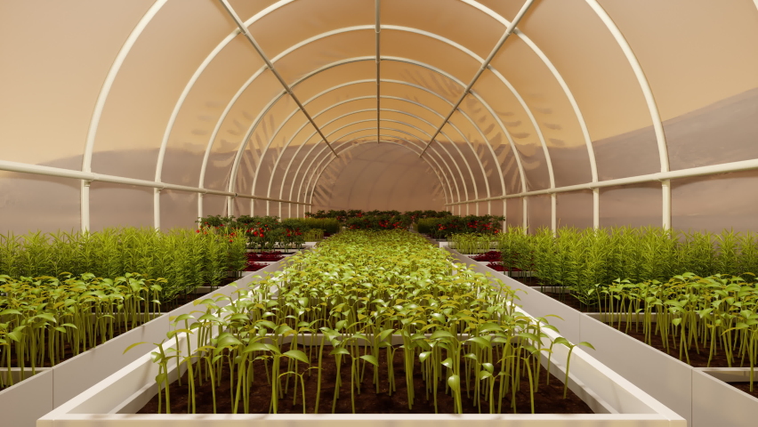 Greenhouse Agriculture On The Planet Mars Royalty-Free Stock Footage #1061828791