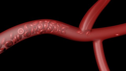 21 Platelet Activation Stock Video Footage - 4K and HD Video Clips | Shutterstock 21 Platelet Activation Stock Video Footage - 4K and HD Video Clips | Shutterstock