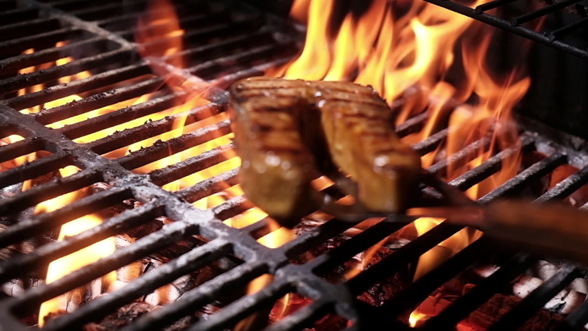 Grilled Fish Sandwich Stock Video Footage - 4K and HD Video Clips