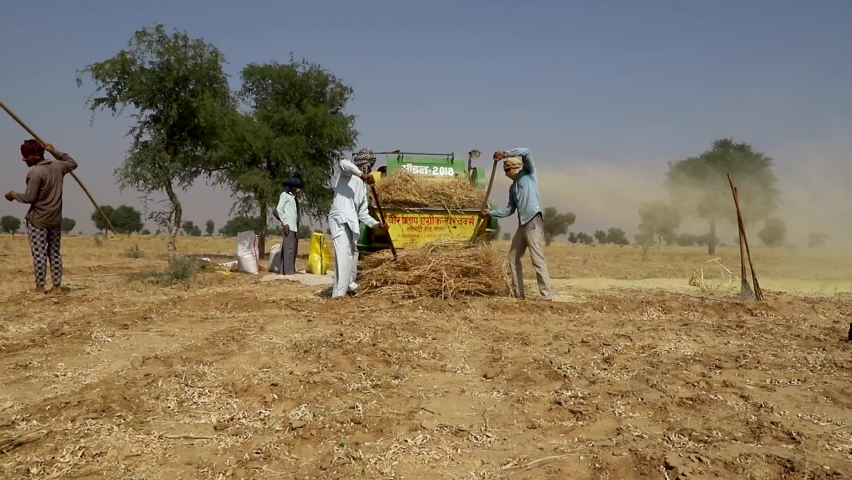 Rajasthan farming Stock Video Footage - 4K and HD Video Clips ...