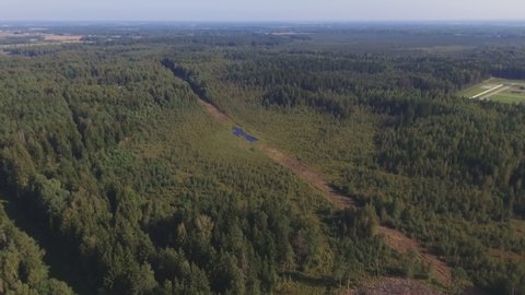 Flying Towards The Swamp Formed in the Felled Cut-Out Forest Section. Aerial Footage.