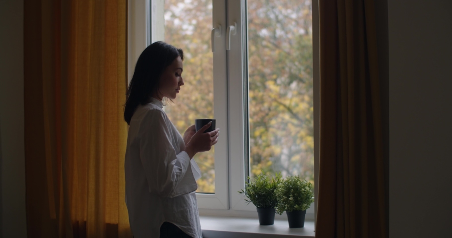 Side portrait of pensive girl standing by window with cup of tea slow motion. Young woman drinking hot coffee looking outside at autumn landscape copy space. Loneliness depression solitude concept Royalty-Free Stock Footage #1061872294