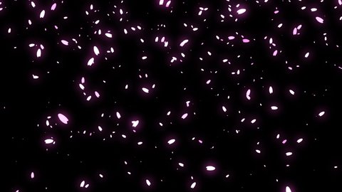 Cherry Blossom Particles Falling Spring Like Stock Footage Video (100% ...