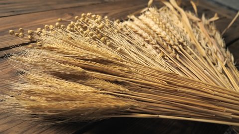 A bouquet of dried wheat, oats, rye, triticale, linen, flax,  on the background of an old wooden table or tabletop.
Rustic background for presentations, natural plant growing businesses.