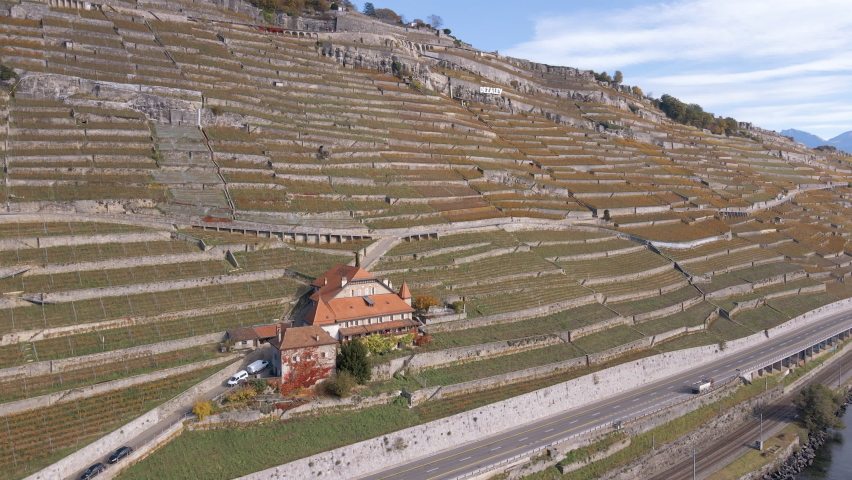 Flying above Lavaux in autumn, Switzerland.