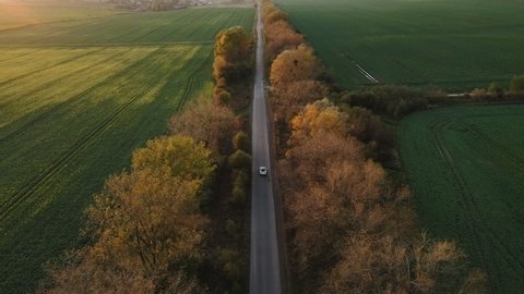 Aerial view Electric Car Driving on Country Road. Luxury modern vehicle riding fast along trees and fields. Cinematic drone shot flying over gravel road with trees at sunset
