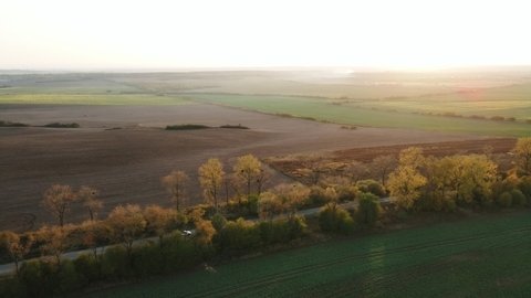 Luxury modern vehicle riding fast along trees and fields. Aerial view Electric Car Driving on Country Road. Cinematic drone shot flying over gravel road with trees at sunset.