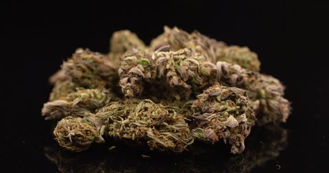 Cannabis buds close up rotating on isolated black background. Marijuana, weed, drug smoking concept.