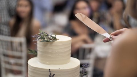 Newlyweds at the wedding cut the wedding cake with a knife. The bride and groom cut a sweet white cake. Husband and wife at a wedding banquet with guests. End of the wedding. Final of the celebration.