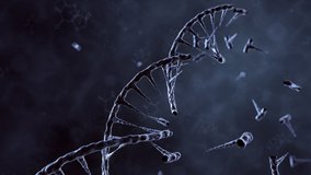 DNA double helix. 3D animation of DNA construction from nucleotide molecules. Perfect to use as a background for science, biotechnology or genetics. Human DNA spiral. 3D rendering. Blue version. 4K - Powered by Shutterstock - Get 15% off with code: PIKWIZARD15