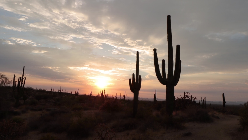 Sunset In The Arizona Desert  - Powered by Shutterstock - Get 15% off with code: PIKWIZARD15
