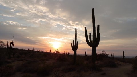 Sunset In The Arizona Desert 
