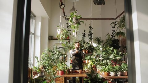 Florist man working in plants shop, Small european, Man cleaning leaves, gardener in flower shop, greening and watering concept.