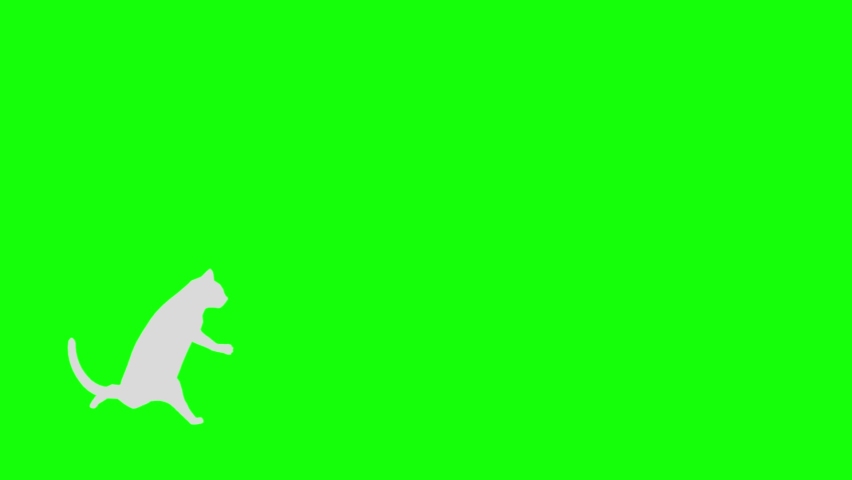 Cat silhouette bipedal run loop pattern B | Shutterstock HD Video #1061926492