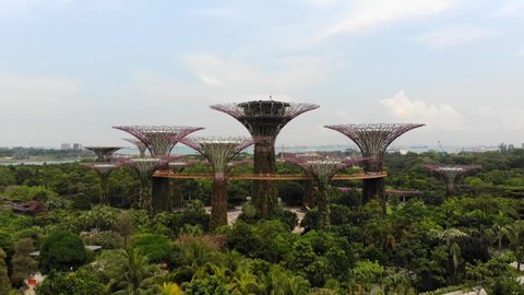 Singapore/Singapore - April 10 2018: Aerial view of the Garden By the Bay trees in Singapore just behind the iconic Marina Bay Sand