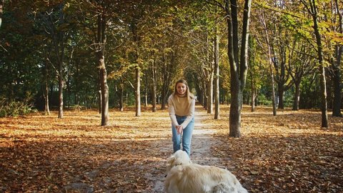 Young smiling blonde woman in casual clothes is walking by path of autumn park and playing with her running dog, labrador retriever. Happy weekend with pet, warm sunny day. Tracking shot