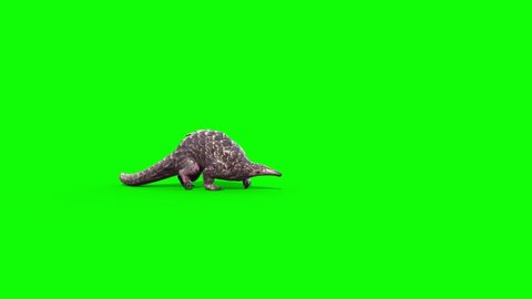 Pangolin Runs Green Screen Side 3D Rendering Animation 4K