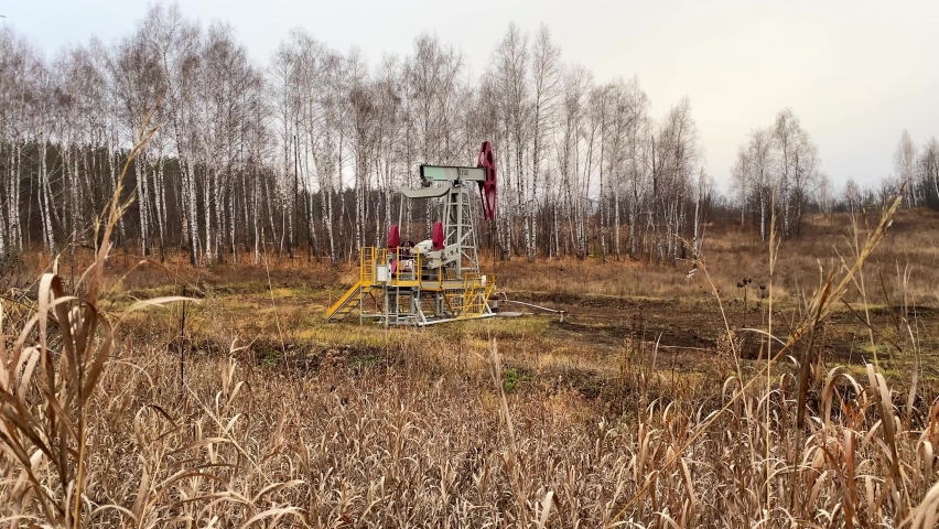 Machine for pumping oil and gas. Silhouette of a working oil pump from an oil field in a clearing in a foggy field among birches and grass in the foreground. Industrial equipment. Side view.