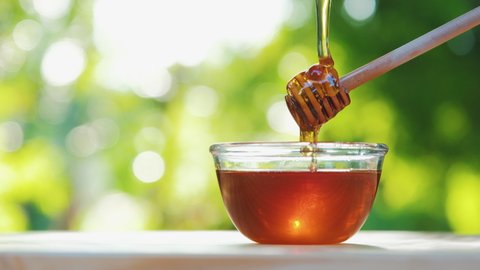 pour the honey into wooden honey dipper over glass bowl on wooden table with nature background, close-up shots 