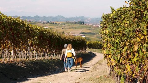 Women walking with a dog among Barolo vineyards width beautiful autumn colors in Langhe and Roero, Piedmont, Italy