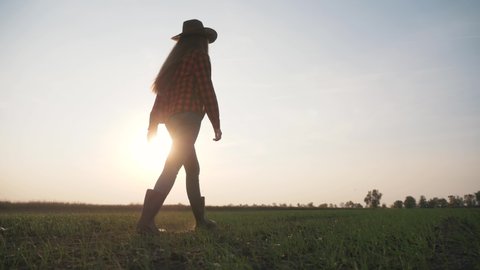 Agriculture. Farmer girl on green wheat field. Farmer in rubber boots. Green sprouts of wheat. Agriculture business. Farmer girl walks across field in rubber boots. Agriculture organic concept.