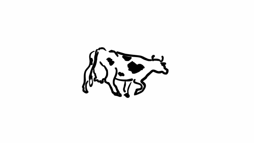  Black and white cow walking. Cartoon seamless loop animation