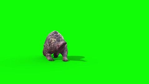 Pangolin Die Green Screen Front 3D Rendering Animation 4K