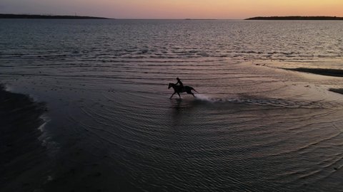 Aerial side view of person riding a horse on the beach at sunset on the Swedish west coast. 4K drone footage.