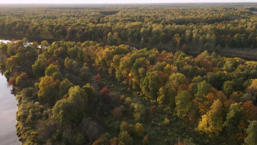Flight in the evening over an island in the river overgrown with trees. The leaves are colored yellow, orange and red. In the distance the sky at sunset. Autumn season. Soft light. 4K