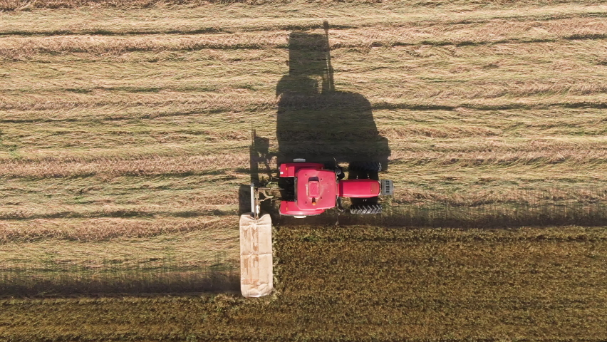A red tractor cuts down ripe oats in a field near sunset. The crop will then dry into hay before its turned into bales for livestock use and export. Royalty-Free Stock Footage #1062015529
