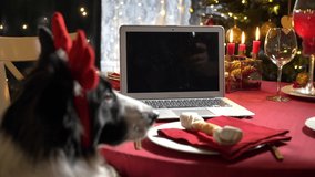 A couple with a child and mature man with a dog celebrating Christmas using a video call. People greeting their relatives friends on Christmas eve online. Social distancing, self isolation quarantine