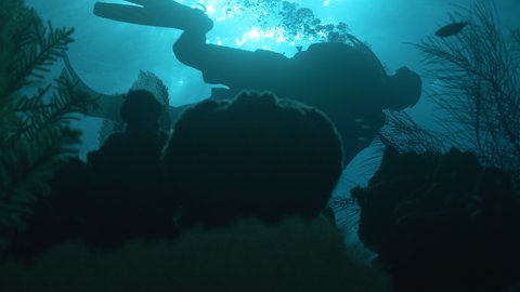 Underwater, pov, a backlit silhouette of an unrecognizable scuba diver, The Bahamas