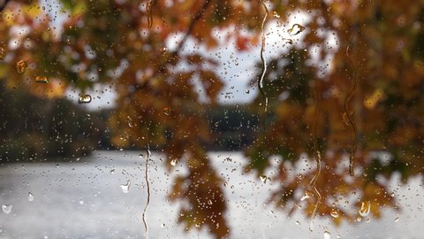 Falling rain drops on window surface. 4K loop video animation. Natural autumn tree and river landscape. Flowing water drops on blurry glass.