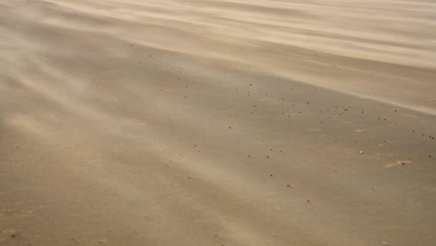 Sand on the beach blown by the wind, sandstorm concept Royalty-Free Stock Footage #1062045394